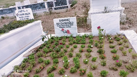 Previous Post Image